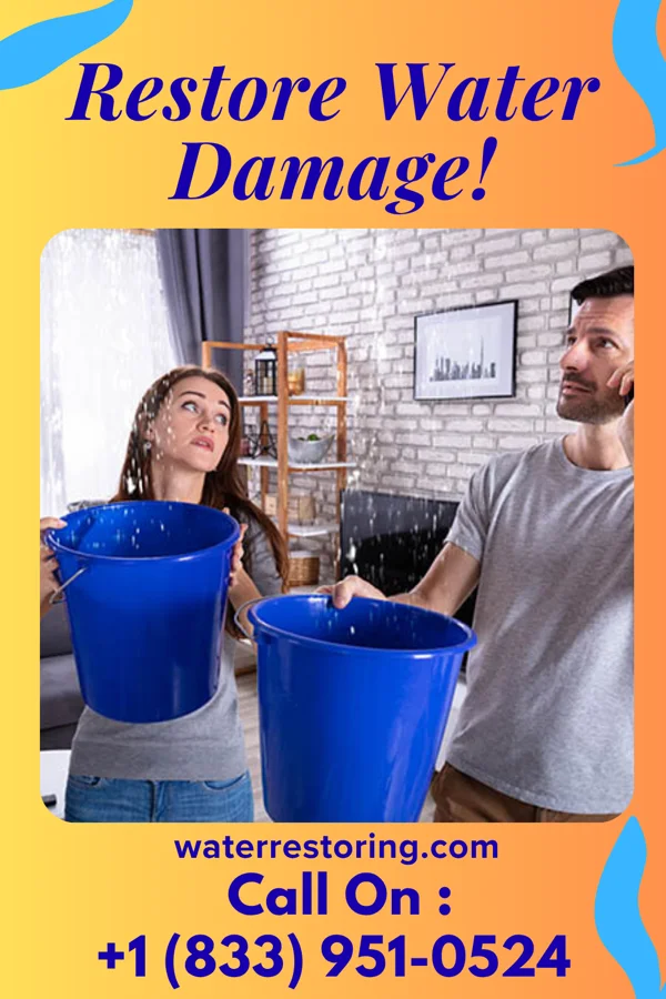 water restoration Trusted Damage Restoration LLC Dancyville