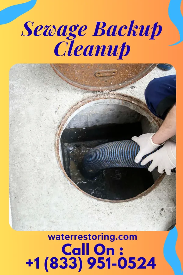 Sewage Backup Cleanup in Dancyville, TN