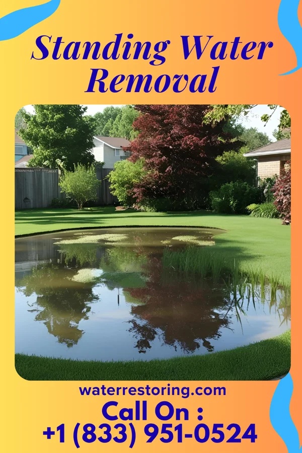 Standing Water Removal in Dancyville, TN